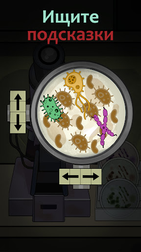 Скриншот взлома Найти Джо: Тайна Камней — 5